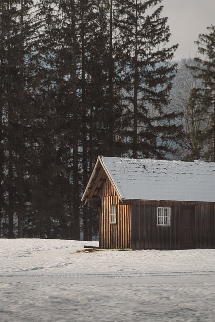 snowy cabin, winter retreat, ipad wallpaper, rustic house, cozy escape, holiday travel, lock screen wallpaper, serene landscape, samsung wallpaper, quietness, mobile wallpaper 4k, mobile wallpaper, beautiful wallpaper, forest hideaway, wooden architecture, wallpaper, phone wallpaper, background, iphone wallpaper, 4k